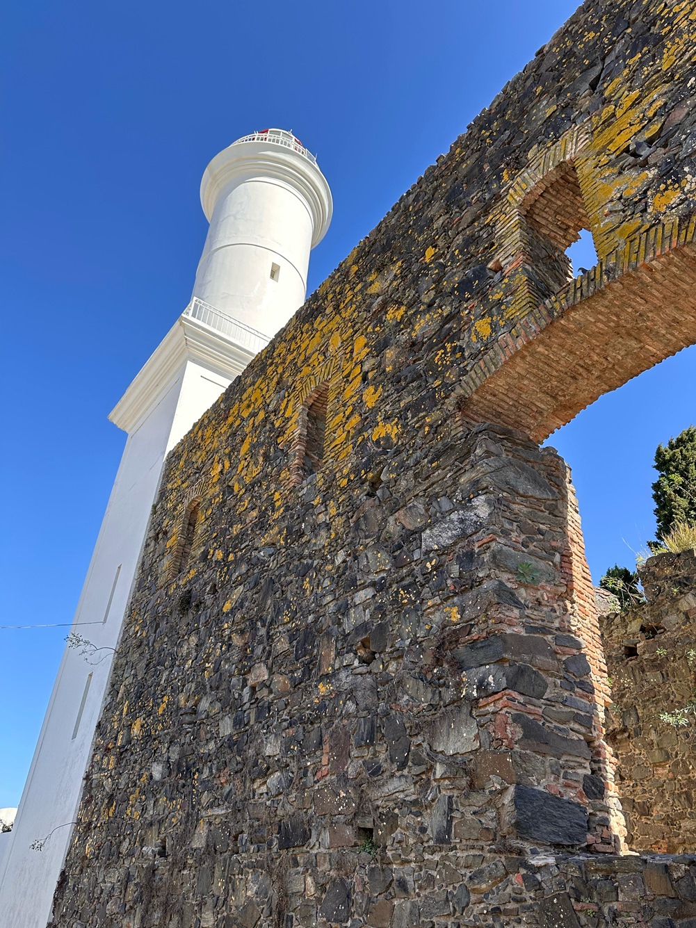 Visitas al Faro de Colonia