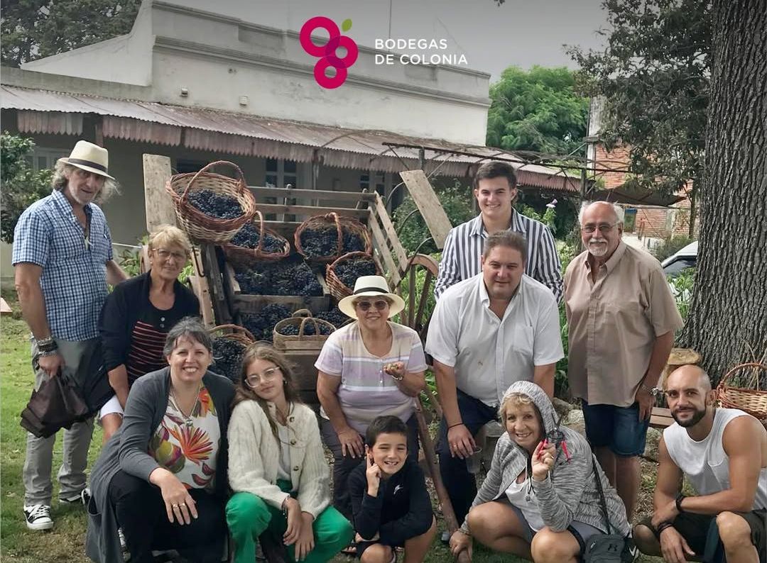 Bodega Turística Los Pinos