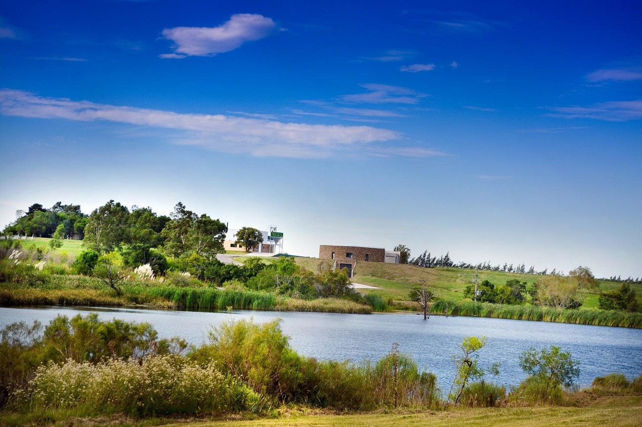 Viñedos y Olivares Del Quintón